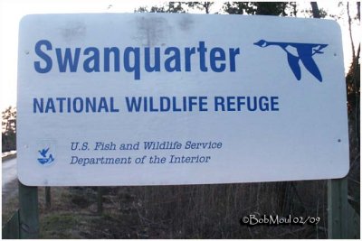 Swanquarter NWR-NC