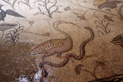 Tabha_4-6-2012 (9).JPG