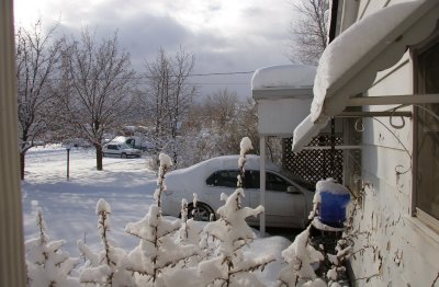 snow-jan08-03.jpg