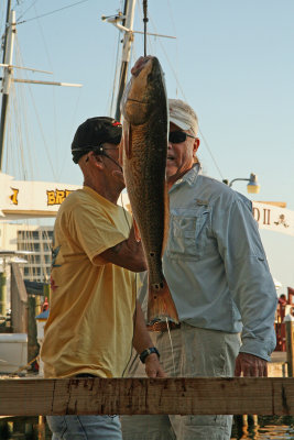 IMG_6685.JPG