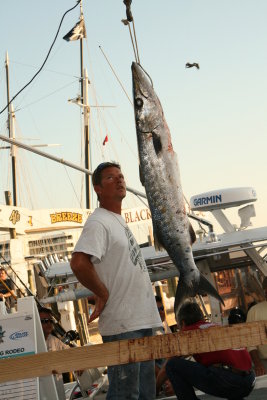IMG_6693.JPG