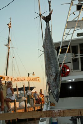 IMG_6709.JPG