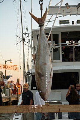 IMG_6711.JPG
