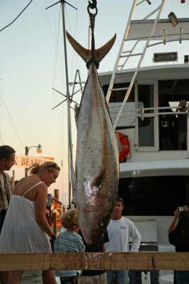 IMG_6712.JPG