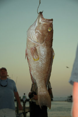 IMG_6722.JPG
