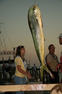 IMG_6726.JPG