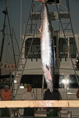 IMG_6732.JPG