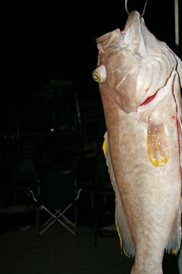 IMG_6760.JPG