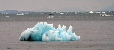 IMG_0012a.JPG