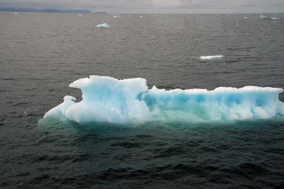 IMG_0026.JPG
