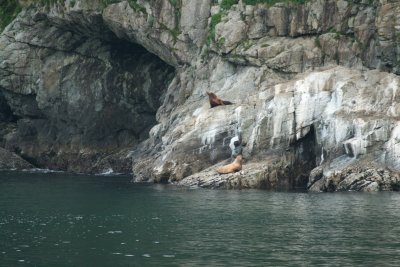 IMG_0033.JPG