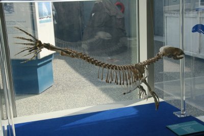 IMG_0095.JPG