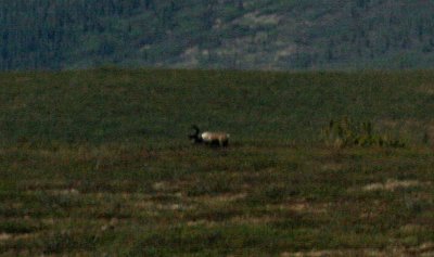 IMG_0954a.JPG