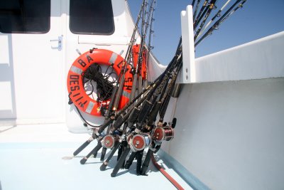 IMG_5136.JPG