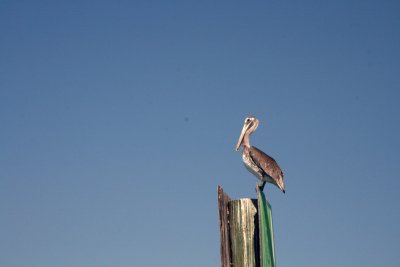 IMG_5144.JPG