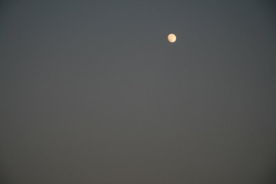 destin_oct_19_2010