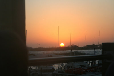 IMG_5442.JPG