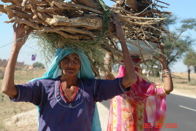 rajastan countryside24