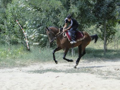turkmenistan25 horse farm.JPG