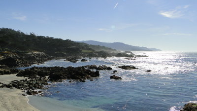 126 point lobos.JPG