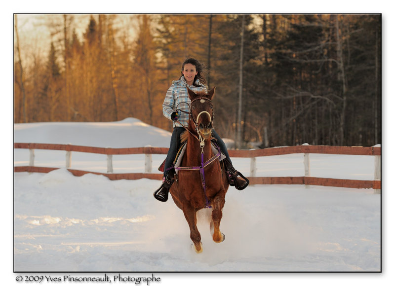 Au Galop ...