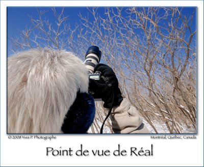 Rals Point Of View ...