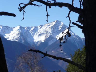 Il momte Legnone e l'albero bruciato