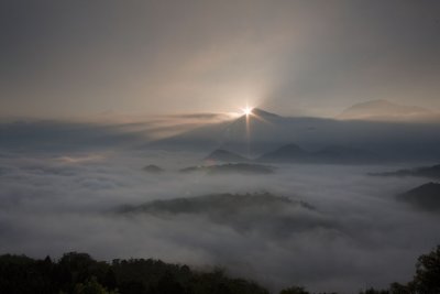 IMG_6341