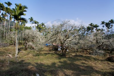 IMG_6465