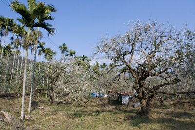 IMG_6459