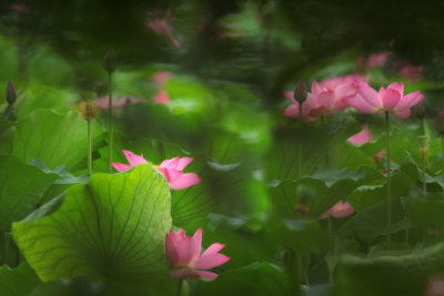 _MG_9977_5