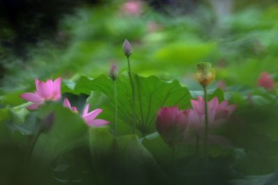 _MG_9977_2
