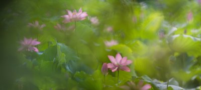 _MG_6613