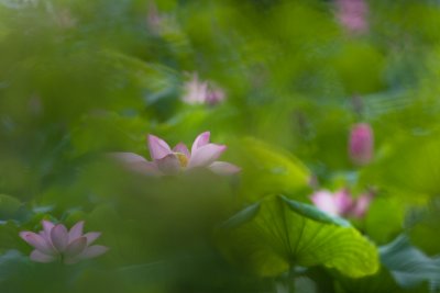_MG_6598