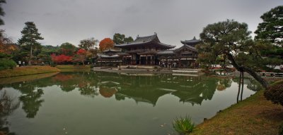 IMG_8768