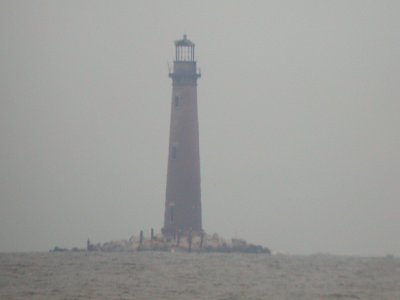 Bay Guardian