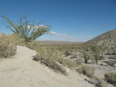 IMG_0793.jpg