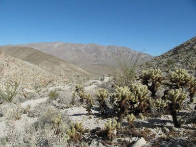 IMG_0804.jpg