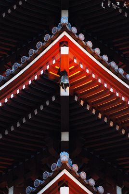 sensoji1108_07.jpg