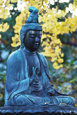 sensoji1108_08.jpg
