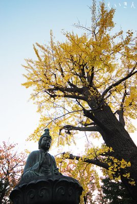 sensoji1108_10.jpg