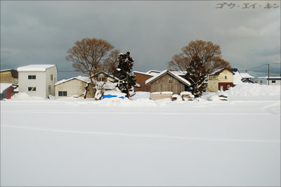 Winter 2008 Hokkaido