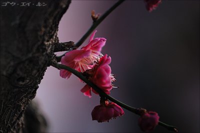 spring_04.jpg