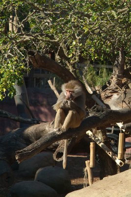 DSCF2557.JPG