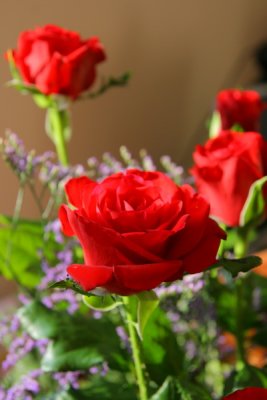 IMG_2242.JPG