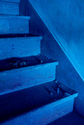 Steps of Blue