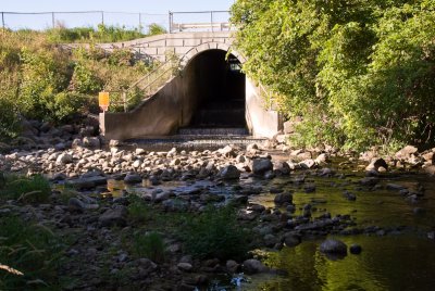 Mill Pond Dam Drought  ~  August 22