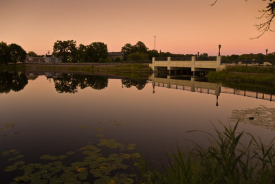 Late Evening at Holm Park  ~  August 29