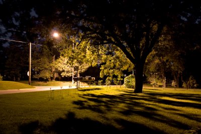 Foggy Evening (Revisited)  ~  August 30