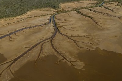 Mud Flats